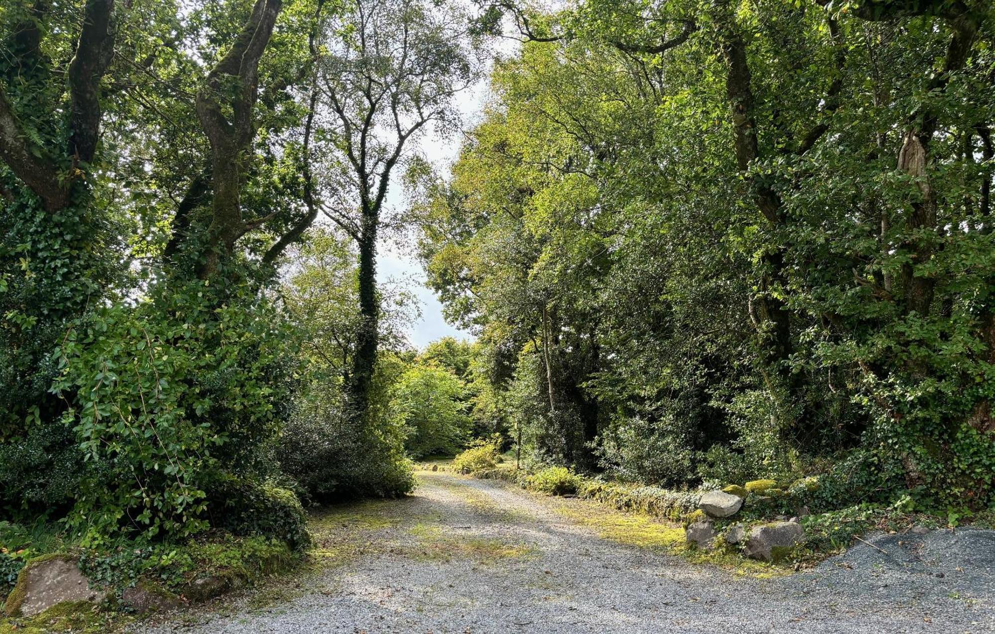 Sligo Forest Retreat Екстер'єр фото
