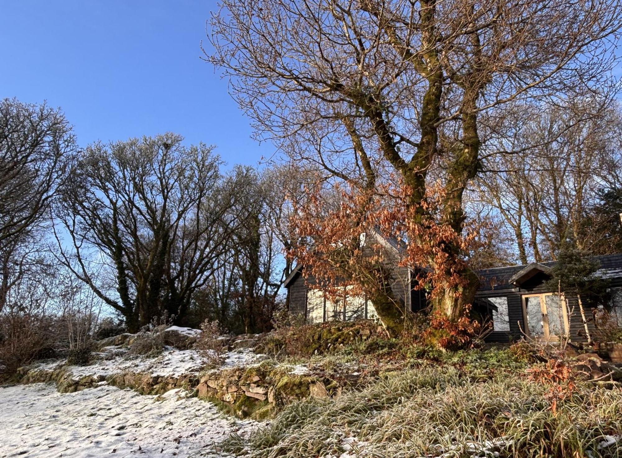 Sligo Forest Retreat Екстер'єр фото